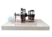 Planetary Gear Transmission Anatomical Model